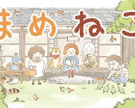 电视剧钻石王老五的艰难爱情全集在线观看