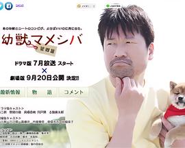 狄仁杰之通天帝国在线播放