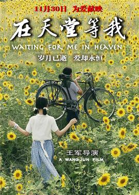大师兄在线观看免费完整版
