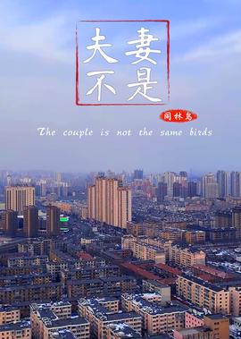 谁是爸爸全集在线观看