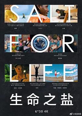 高粱红了下载