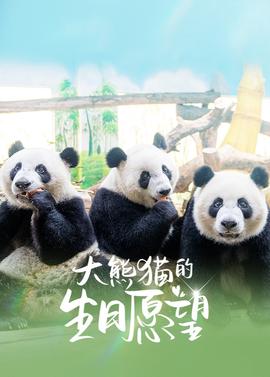爱与罚电视剧