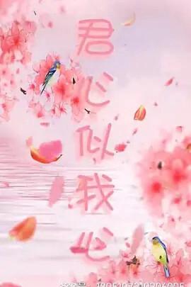 奥特曼超银河帝国中文版