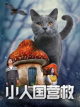 中央8套节目预告