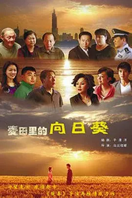 伪装者在线观看