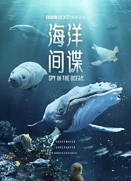桑尼号