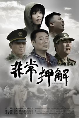 十三密杀令国语高清