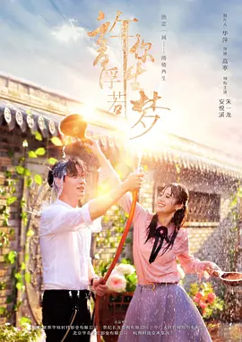 少年派高清在线观看完整版
