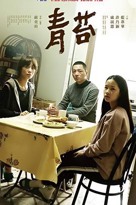 天国王朝加长版电影