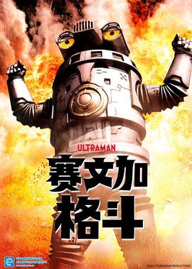 守望的天空大结局