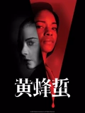河南卫视直播在线观看