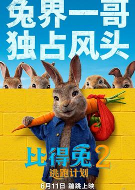 电影龙门飞甲简介剧情