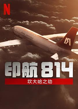 王楠儿子