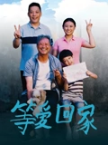雪豹2之豹风演员表