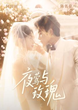 小儿歌曲大全100首视频直播