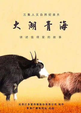 环太平洋火山地震带