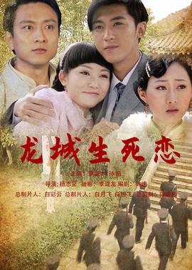 一夜未了情分集介绍