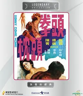 特殊身份电影甄子丹