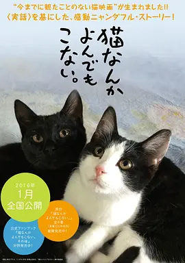雪域迷城舞阳结局