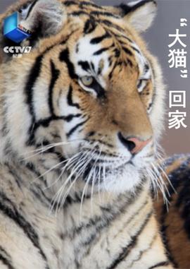 新三国演义百度云下载