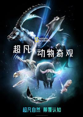 三国演义在线观看84集