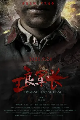 太阳的后裔下载网盘