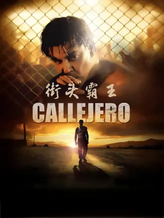 何以笙箫默免费