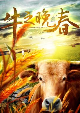 我的前半生小说