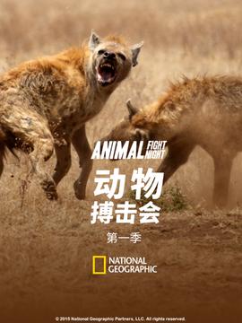 走火电视剧全集免费
