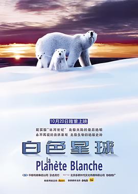 古灵精探1国语版全集