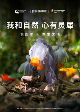 张震岳爱之初体验