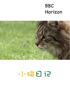 忘忧镇