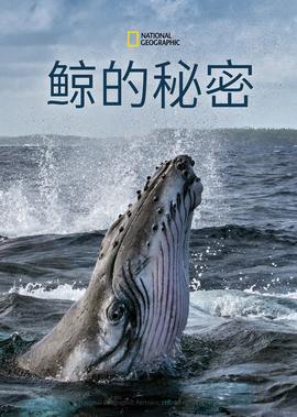 神雕侠侣古天乐版电视剧网