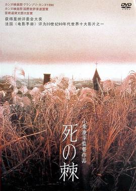 奇妙小镇全集