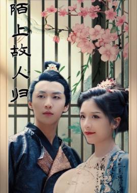 屌丝女士 下载