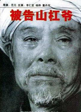 鹰隼大队手机在线观看