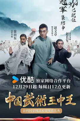 电视剧我的抗战之铁血轻奇兵