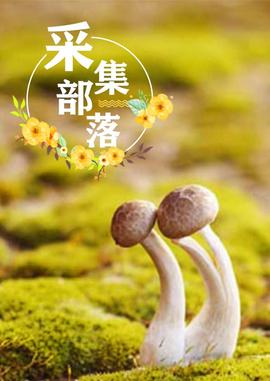 美食总动员 动画片国语