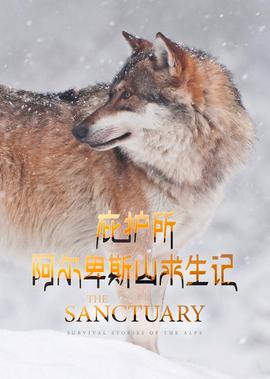 狼群行动2结局