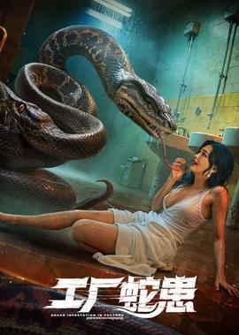 青蛙公主的秘密