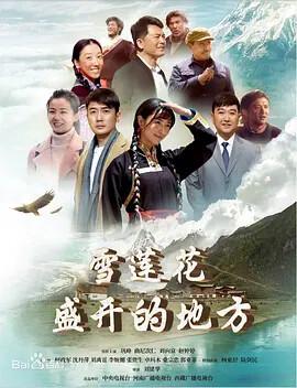 王的女人电视剧简介