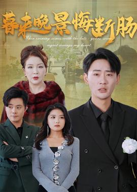 灰姑娘动画片第二季