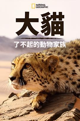 机场特警电视剧在线观看