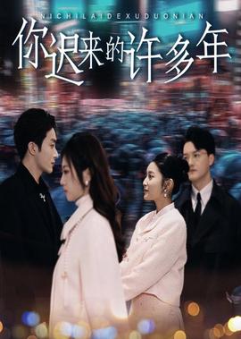 继承人电视剧剧情分集介绍