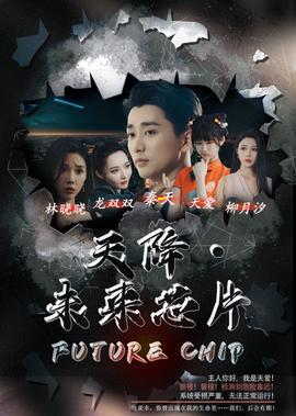 怪才军师