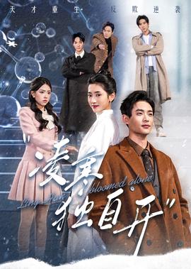 从结婚开始恋爱全网影视