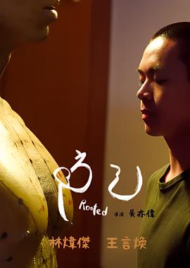 争分夺秒 电视剧 2004