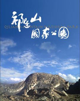 扎职1280高清粤语中字