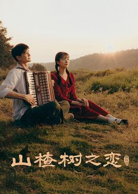 上海红烧大排