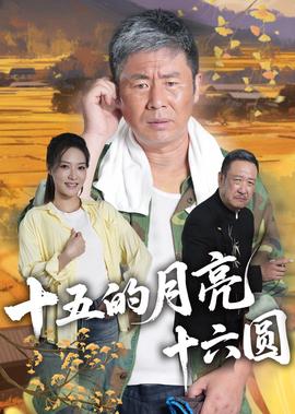 非缘勿扰免费播放